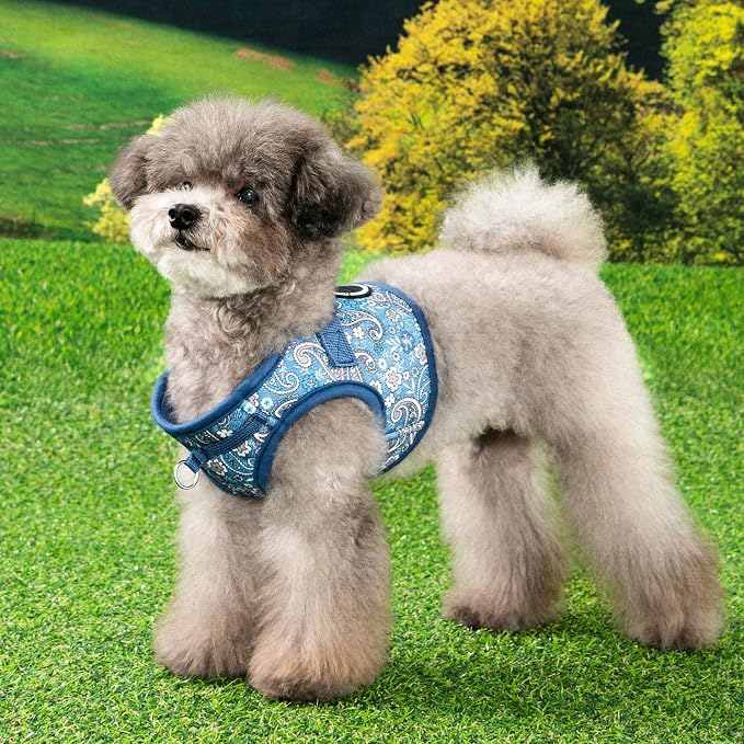 Puppia Cynthia Dog Vest Harness B (Step-in) Fashionable Paisley Pattern Spring Summer Harness for Small and Medium Dogs, Blue, X-Large