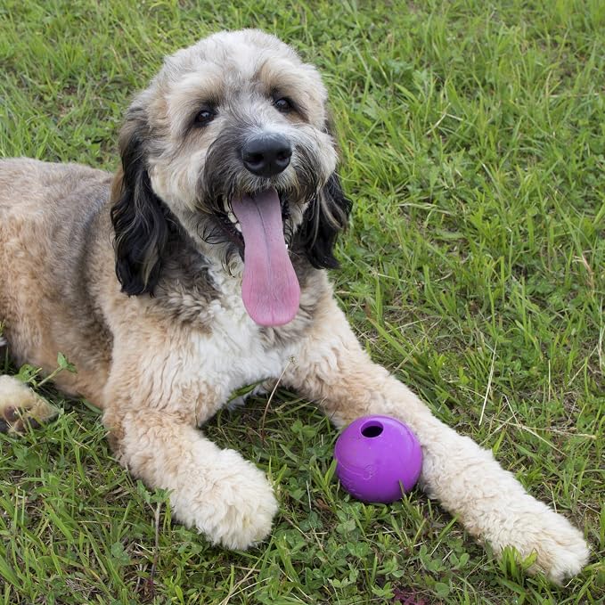 Chew King Fetch Balls Extremely Durable Natural Rubber Toy 4 inch, 2 Pack (CM-10031-CS01)