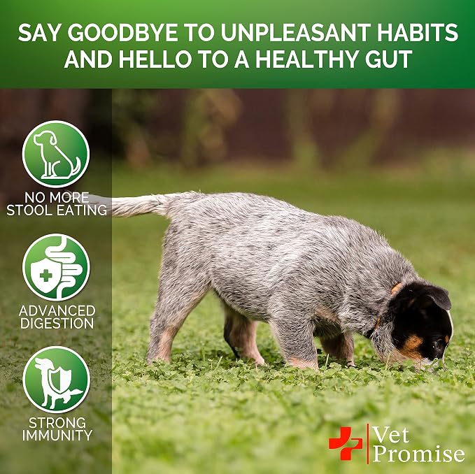 No Poo Chews for Dogs - Coprophagia Stool Eating Deterrent for Dogs