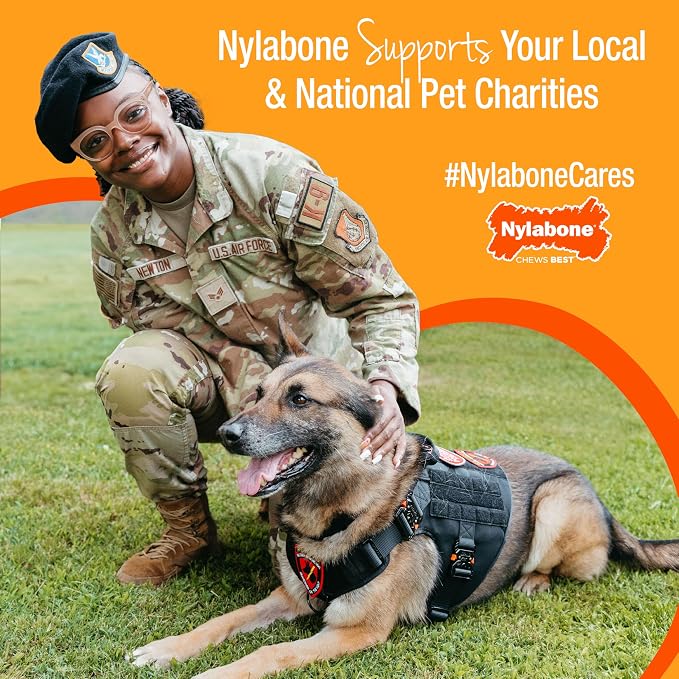 Nylabone Power Chew Original Bone Dog Chew Toy, Chicken Flavor, Small | Durable chew toys, discourages destructive chewing, long lasting, flavor throughout, for dogs up to 25 pounds