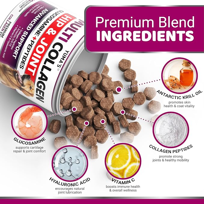 Advanced Collagen for Dogs - 170 Chews - Hip and Joint Supplement Peptides
