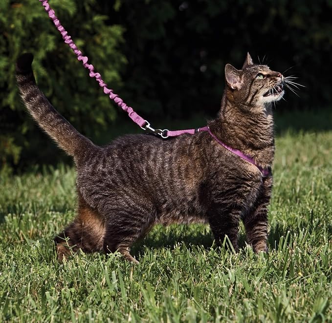 PetSafe Come with Me Kitty Harness and Bungee Leash, Large, Dusty Rose | Adjustable 2-Point Fit Applies Gentle Pressure to Shoulders, Not Neck, for Average and Large Cats with 13 in - 18 in Girth