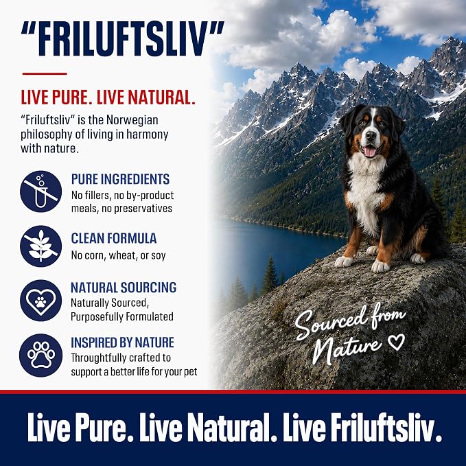 Hip & Joint Supplement for Dogs | Norwegian Salmon Oil, Glucosamine, Chondroitin, MSM, Green Lipped Mussel, Collagen | Mobility Soft Chews for Small, Medium & Large Dogs, 60 Count