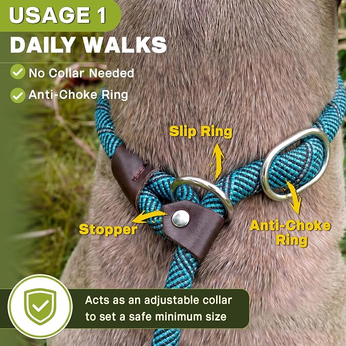 Fida Durable Slip Lead Dog Leash, 6 FT x 3/8" Heavy Duty Comfortable Strong Rope Slip Lead for Small Dogs and Puppies, No Pull Pet Training Lead with Highly Reflective(3/8", Blue)