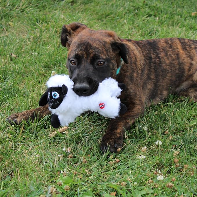 SPOT Baa Baa Black Sheep Plush Dog Toy - Cute and Cuddly Fleece Toy with Squeaker for Small Dogs and Puppies, 8in Black and White Lamb