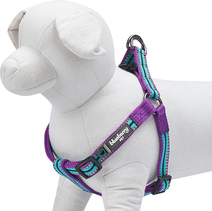 Blueberry Pet 5 Colors Step-in 3M Reflective Multi-Colored Stripe Padded Dog Harness, Chest Girth 16.5" - 21.5", Violet & River Blue, Small, Adjustable Harnesses for Dogs