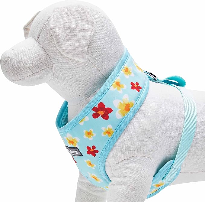 Blueberry Pet Soft & Comfy Fragrant Plumeria Dog Harness Vest, Aqua, Chest Girth 13" - 16", X-Small, Adjustable Harnesses for Dogs