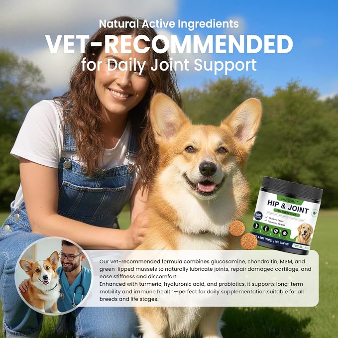 Hip and Joint Supplement for Dogs, Glucosamine for Dogs Joint Supplement