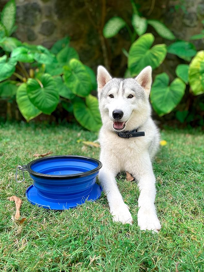Tuff Pupper SuperBigSlurp Collapsible Dog Bowls, Two Pack, Blue, 100oz