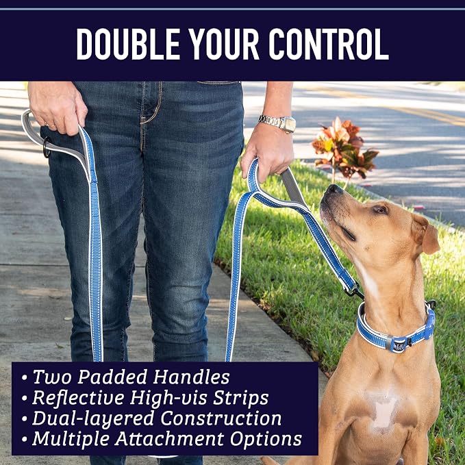 Leash Boss Double Handle Dog Leash - 6 Ft Reflective with Two Padded Handles for Large or Medium Dogs That Pull (Black/Gray)