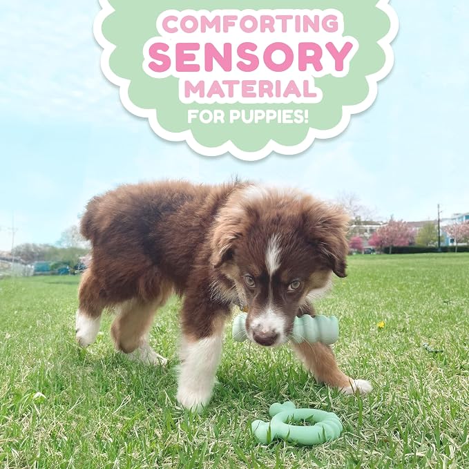 Nylabone Puppy Chew Sensory Material Grooved Stick Dog Chew Toy, Small | Peanut butter flavor, soothing teething toys for puppies, teething relief, freeze for extra comfort, up to 25 lbs
