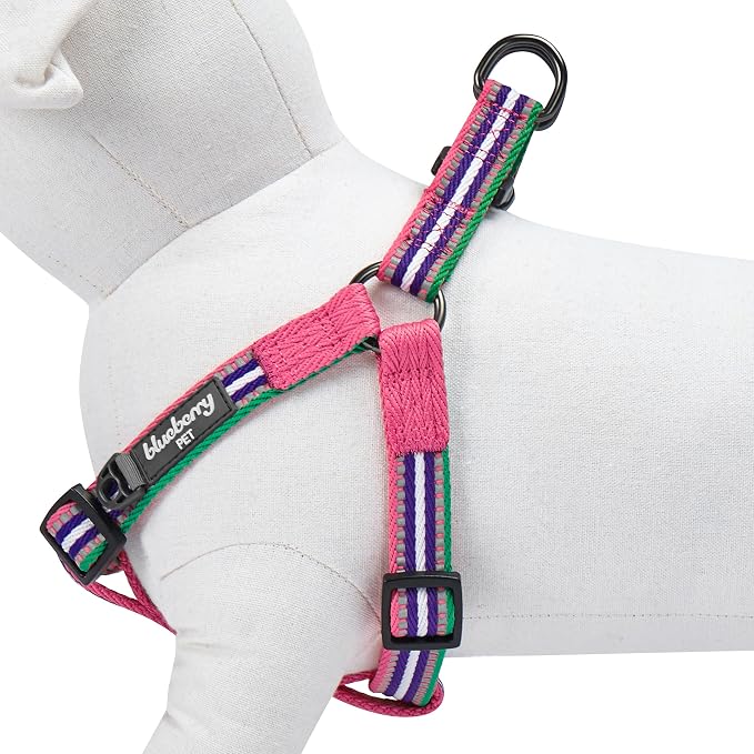Blueberry Pet 5 Colors Step-in 3M Reflective Multi-Colored Stripe Padded Dog Harness, Chest Girth 20" - 26", Pink, Emerald & Orchid, Medium, Adjustable Harnesses for Dogs