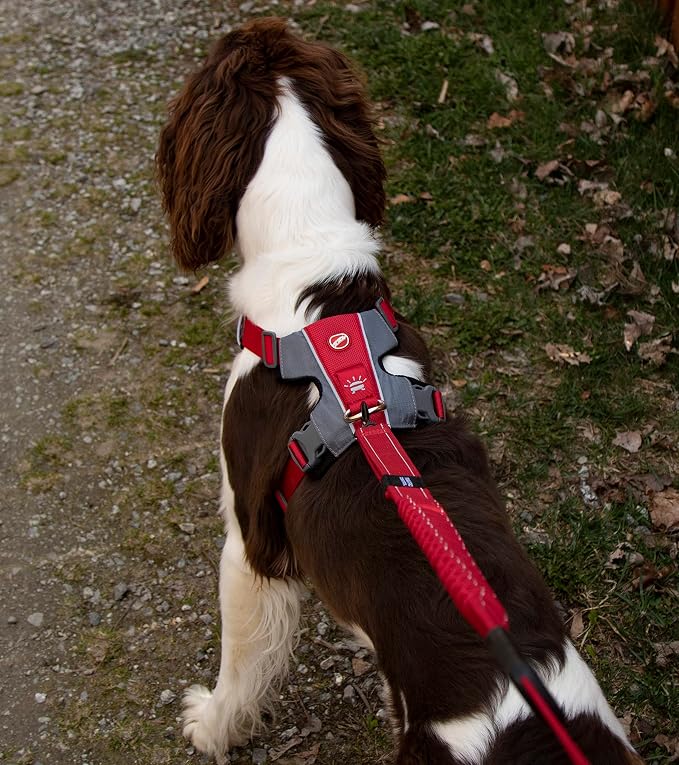 EzyDog X-Link Dog Harness, No Pull Design with Front D-Ring - Small, Blue | Soft Padded Chest Panel, Adjustable, Fits Small or Large Dogs, Accessory Loop, 2 Leash Attachment Points, Reflective Trim,
