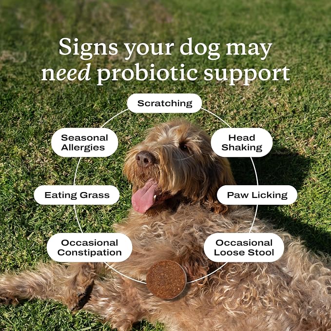 PetLab Co. Gut & Allergy Support Bundle for Dogs