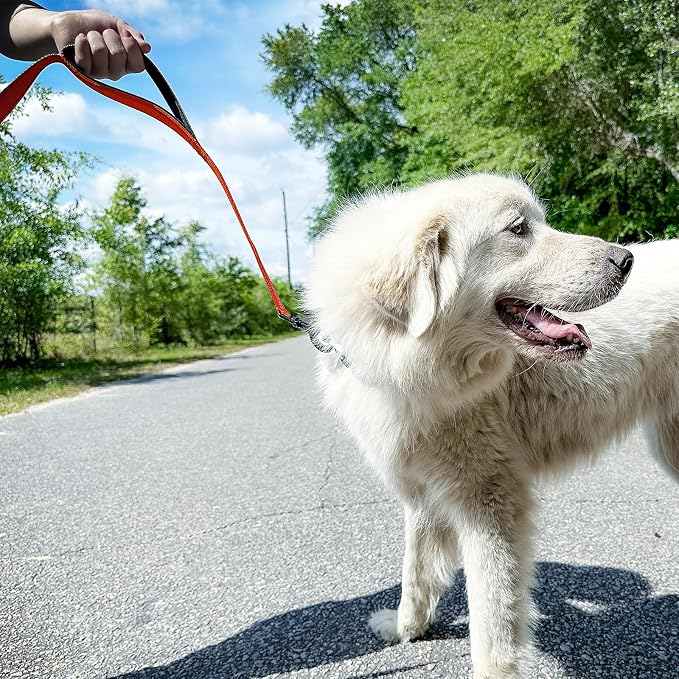Joytale Dog Leash for Large Dogs that Pull, Double Handle, 6FT, Orange | Traffic Handle for Control, Padded Handle Reduces Hand Strain, Reflective Stitching for Night Safety, Strong Nylon Webbing