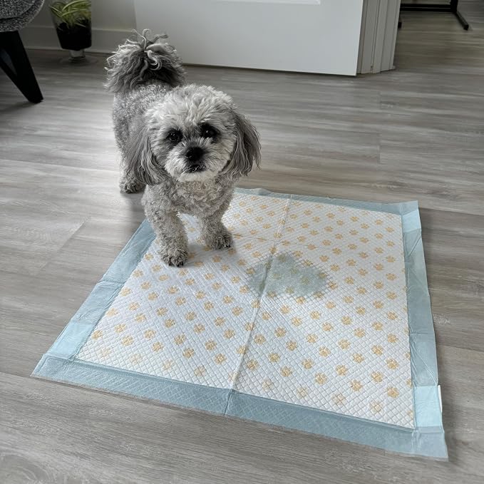 Spot Dr. Bales Early Detection Health Monitoring Pee Pads- Puppy Pee Pads with Color-Changing Paw Prints Indicating Your Dog’S Urine Ph Level, Super Absorbent, Leak Proof, 22in x 22in, 100 Pack