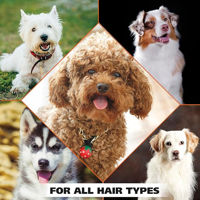 Wahl USA 4-in-1 Calming Pet Shampoo for Dogs, Lavender Chamomile, 64 oz | Half Gallon Shampoo For Multi-Dog Families To Clean, Condition, Detangle, And Moisturize Fur During Bath - Model 821000-050