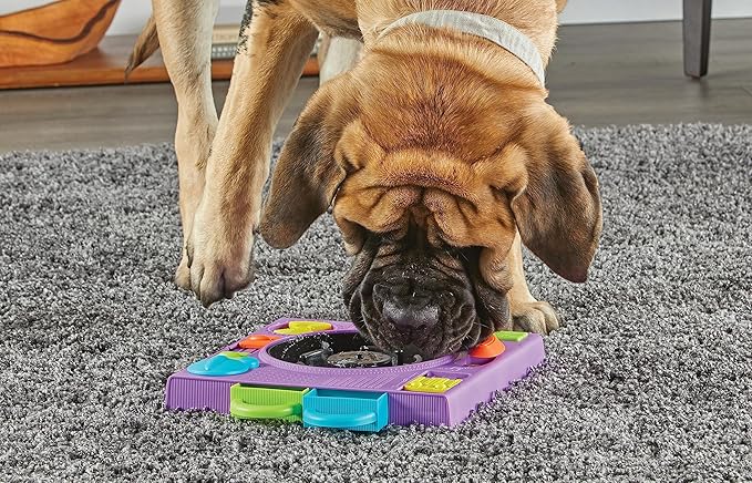 Brightkins DJ Doggo Puzzle Feeder - Slow Feeder Dog Bowls, Puzzle Toys for Dogs, Slow Eating Dog Bowl, Large Puppy Bowls, Treat Puzzles Feeders for Cat and Dogs, Puppy Food Bowl