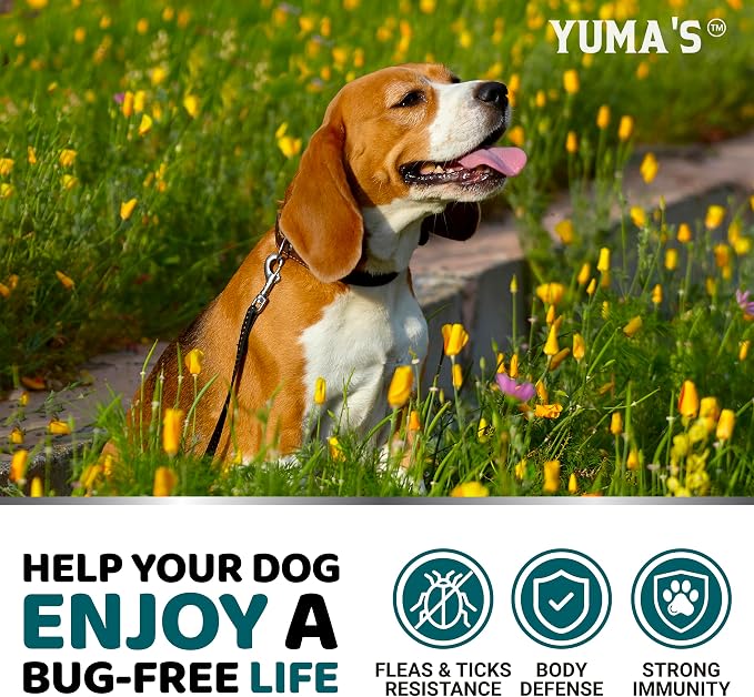 Chewable Flea and Tick Prevention for Dogs - 240 Chews - Flea Oral Pills