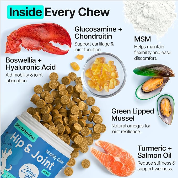 Hip and Joint Supplement for Dogs – Glucosamine for Dogs, Dog Joint Supplement, Mobility, Flexibility & Comfort, Chews with Glucosamine Chondroitin Msm & Omega3, 2 Pack,340 Chews,Made in USA