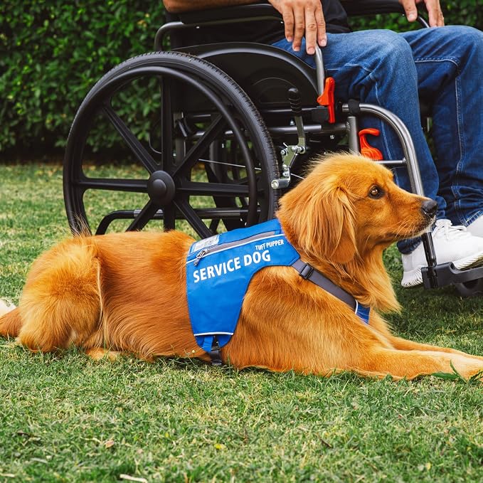 Tuff Pupper Service Dog Vest with ID Pocket | No Leash Attachment | Quick-Release Magnetic Buckles | Reflective Trim | Adjustable Fit | Comfortable & Durable | Designed for Small Dogs (Blue, Medium)