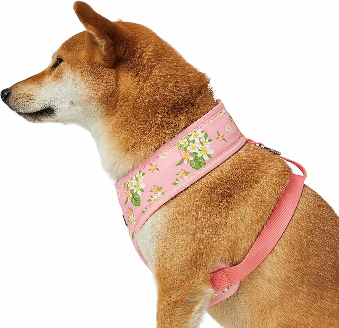 Blueberry Pet Summer Sparkle Dog Harness Vest, Adjustable Small Size, Chest Girth 16" - 21", Tropical Flower Baby Pink, Hibiscus Floral Print Pet Harness