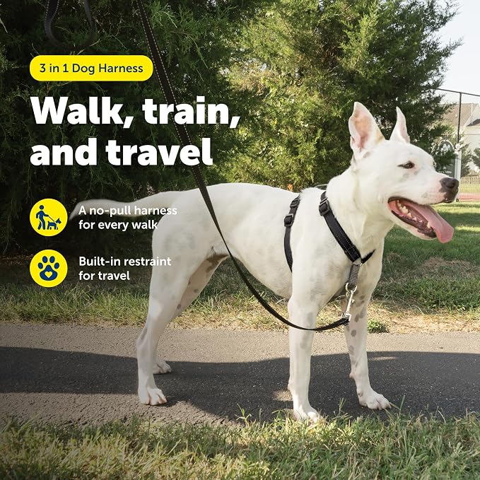 PetSafe 3 in 1 No-Pull Dog Harness - Walk, Train or Travel - Helps Prevent Pets from Pulling on Walks - Seatbelt Loop Doubles as Quick Access Handle - Reflective Accents - Medium, Black | Rests on Chest Not Throat to Reduce Pulling, 5 Adjustment Points...