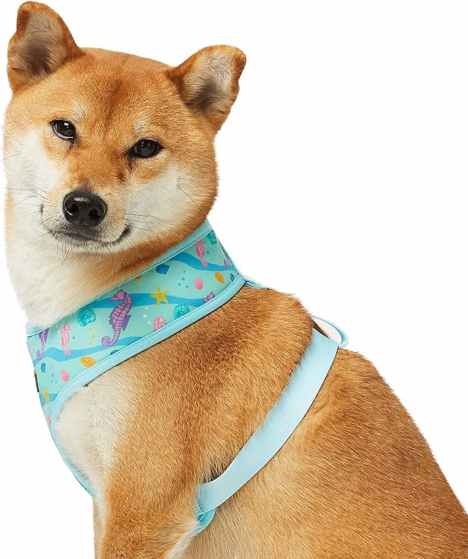 Blueberry Pet Summer Sparkle Dog Harness Vest, Adjustable Small Size, Chest Girth 16" - 21", Turquoise, Ocean Fish and Seahorse Print Nautical Pet Harness