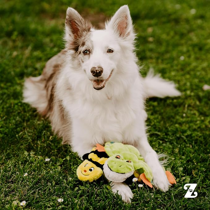 ZippyPaws Squeakie Crawler No Stuffing Dog Toy to Keep Them Busy - 11" | For Small, Medium, & Large Dogs, Squeaky Pet Toy for Boredom, Soft Plush Puppy Products, Toby the Tree Frog