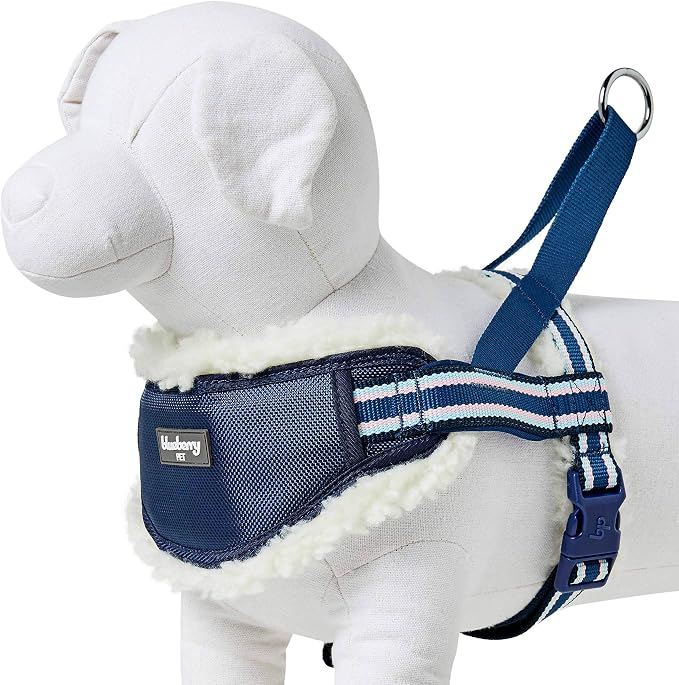 Blueberry Pet Soft & Comfy Multi-Colored Stripe Fleece Padded Chest Dog Harness, Chest Girth 20.5" - 26", Blue, Medium, Adjustable No Pull Training Harness for Dogs
