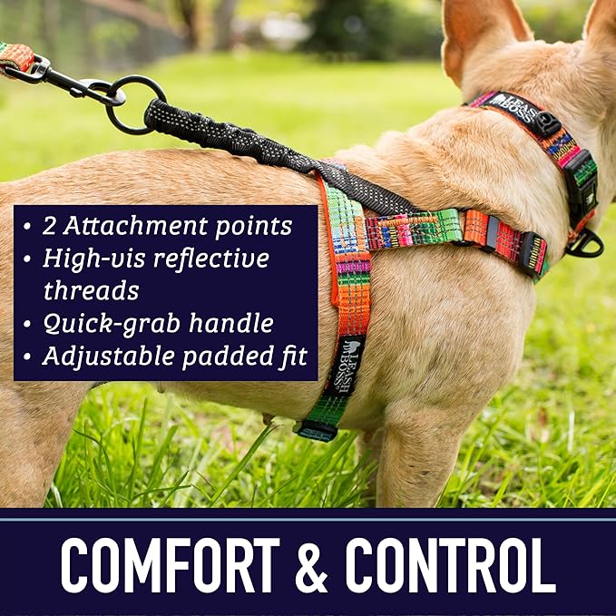 Leash Boss No Pull Dog Harness, Easy Walk for Small, Medium, and Large Pets, Reflective with Rear and Front Clip Attachment (Space Pattern, Medium)