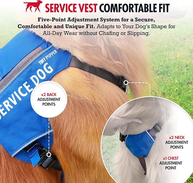 Tuff Pupper Service Dog Vest with ID Pocket | No Leash Attachment | Quick-Release Magnetic Buckles | Reflective Trim | Adjustable Fit | Comfortable & Durable | Designed for Small Dogs (Blue, Medium)