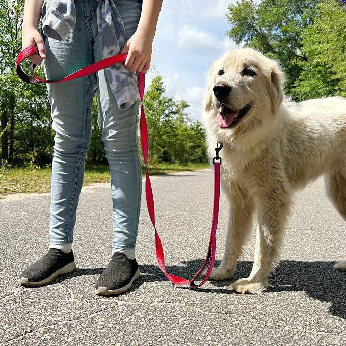 Joytale Dog Leash for Large Dogs that Pull, Double Handle, 4FT, Red | Traffic Handle for Control, Padded Handle Reduces Hand Strain, Reflective Stitching for Night Safety, Strong Nylon Webbing