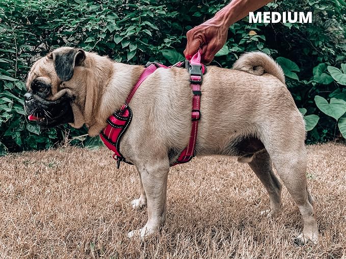 Tuff Pupper No Pull Easy Walk Dog Harness | Heavy Duty Pet Vest | Front & Back Leash Clips | Strong Safety Handle | Reflective Anti Pull Vest | Comfortable Padded Escape Proof Harness (Medium, Pink)