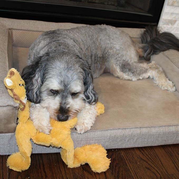SPOT Skinneeez Tons-O-Squeakers Jungle Cat Dog Toy - 19 Squeakers for Tons-O-Fun! Stuffing-Free Design Perfect for Moderate Chewers, Tug Toy for Medium to Large Puppies & Dogs - 20in, Style May Vary