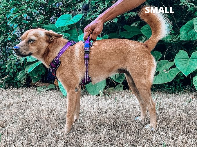Tuff Pupper No Pull Easy Walk Dog Harness | Heavy Duty Pet Vest | Front & Back Leash Clips | Strong Safety Handle | Reflective Anti Pull Vest | Comfortable Padded Escape Proof Harness (Small, Purple)