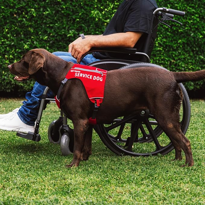 Tuff Pupper Service Dog Vest with ID Pocket | No Leash Attachment | Quick-Release Magnetic Buckles | Reflective Trim | Adjustable Fit | Comfortable & Durable | Designed for Small Dogs (Red, Large)