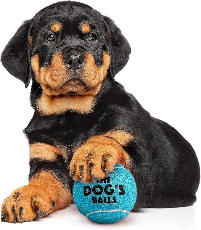The Little Dog’s Balls Small Dog Tennis Balls 6-Pack Blue Floats in Water | Our fetch balls combine non-abrasive felt exterior and a thicker rubber core Durable Dog Toy for Outdoor Play & Training