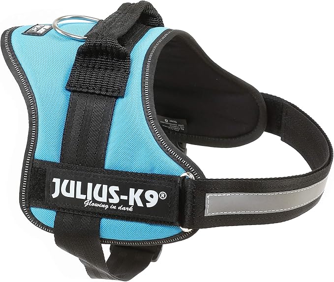 Julius-K9, 162 W, K9-Power Dishes, Aquamarine, 0, Green-Blue