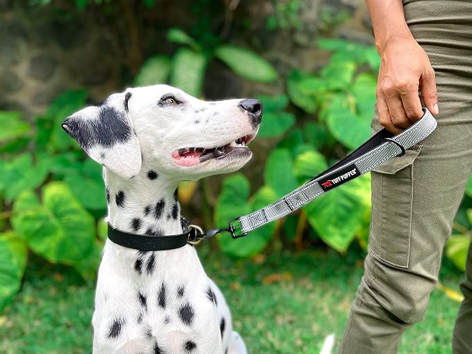 Tuff Pupper Short Dog Leash for Dog Training | 12 Inch | Perfect for Service Dog Harness & Short Training Leash | Traffic Leash Handle w/Padding | Short Leash Dog Coupler Steel Gray