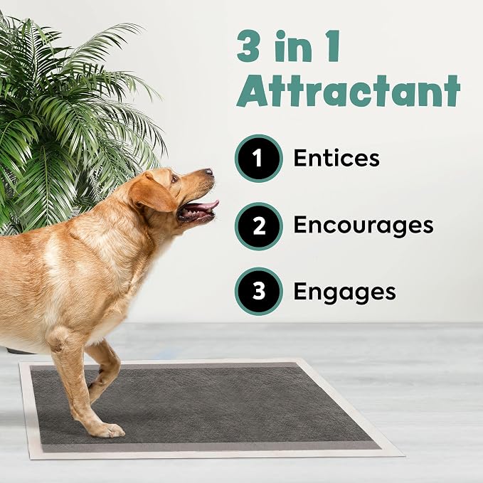 Disposable Puppy Pads Potty Training - 25 Activated Charcoal Pee Pads for Dogs with Attractant - Wee Wee Absorbent, Odor Neutralizer Dog Pads - Five Layered Pet Potty Pads - 23" x 23"