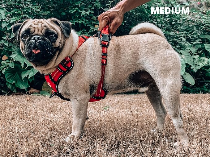 Tuff Pupper No Pull Easy Walk Dog Harness | Heavy Duty Pet Vest | Front & Back Leash Clips | Strong Safety Handle | Reflective Anti Pull Vest | Comfortable Padded Escape Proof Harness (Medium, Red)