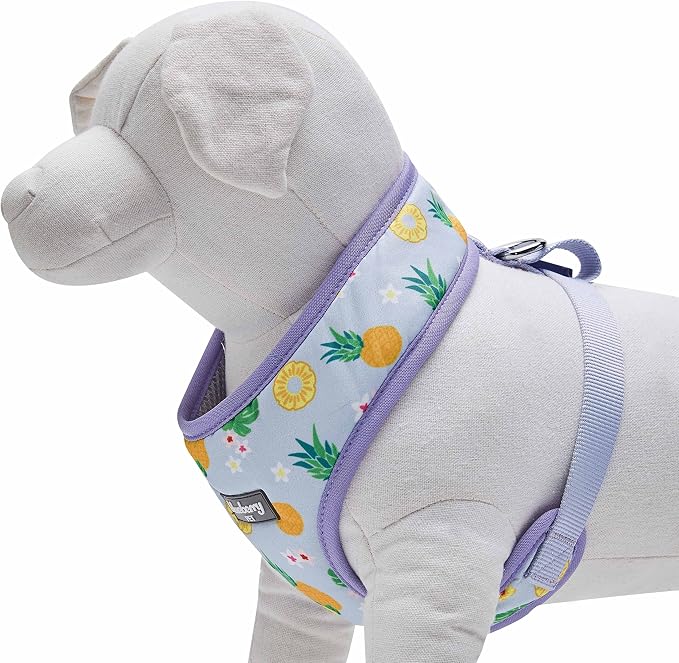 Blueberry Pet Soft & Comfy Nutritious Pineapple Dog Harness Vest, Chest Girth 13" - 16", X-Small, Adjustable Harnesses for Dogs