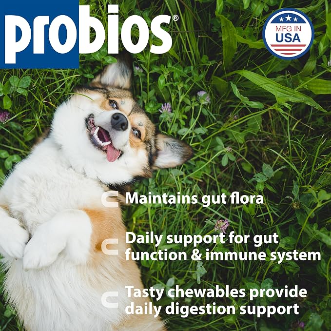 Probios Digestive Support Dog Chewables, 1 lb