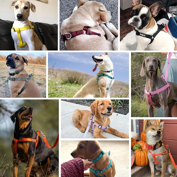 Blueberry Pet Essentials Step-in Dog Harness, Large Size | Adjustable Very Berry Vest | Classic Solid Nylon for Boy & Girl Dogs, Chest Girth 26"-39"