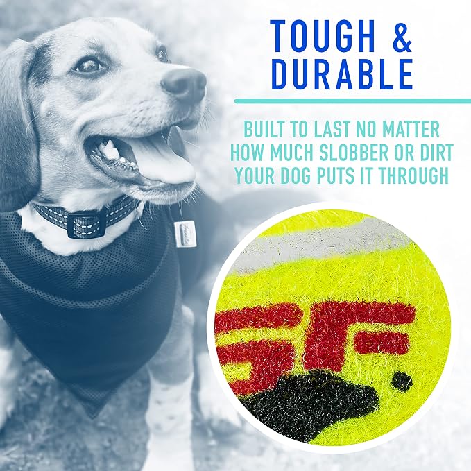 Franklin Sports Ready Set Fetch Mini Squeaker Tennis Ball - 12 Pack | Fun Noise-Making Feature, Tough + Durable Build, Great For Active Playtime, Ideal For Small Breed Pets