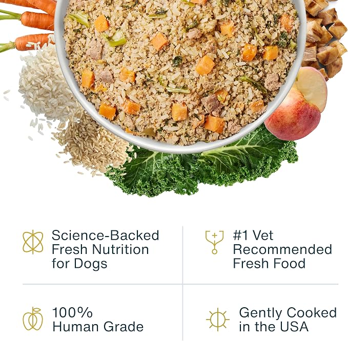 JustFoodForDogs Pantry Fresh Wet Dog Food - Chicken & White Rice, 12.5oz (Pack of 24)