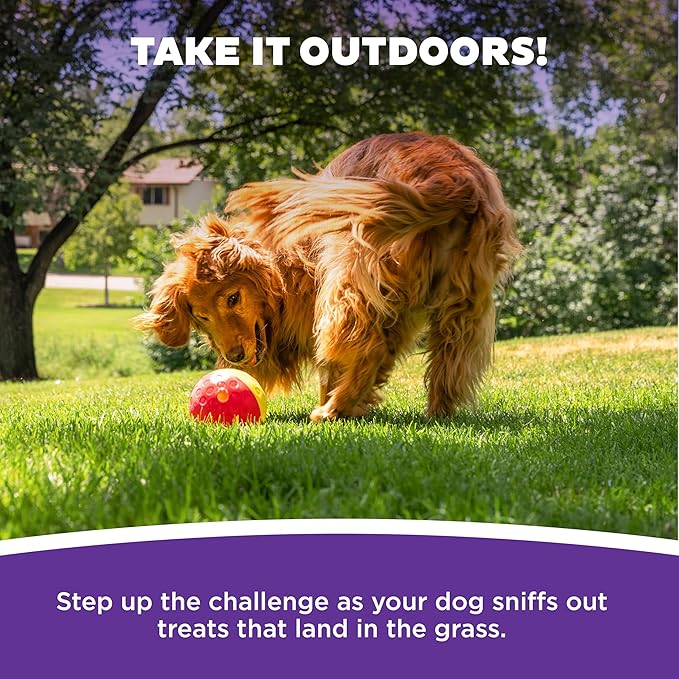 Outward Hound by Nina Ottosson Treat Tumble – Interactive Food-Dispensing Dog Puzzle Ball, Level 1 Beginner, Large, 5.8"