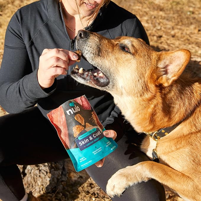 Nulo Functional Jerky Skin & Coat Salmon Dog Treats 5 OZ Bag