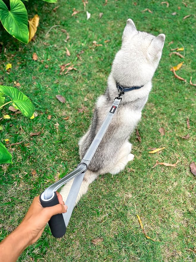 Tuff Pupper Service Leash with Handle - 18 Inch, Gray, Perfect for Service & Large Dog Training, Traffic Handle with Padding
